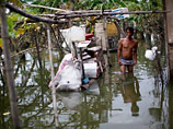 Вызванные тайфунами масштабные наводнения привели к уничтожению сельскохозяйственных угодий на сумму около 275 миллионов долларов