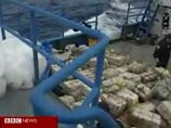 В Венесуэле на борту бельгийского судна нашли 460 килограммов кокаина В Венесуэле на борту бельгийского судна нашли 460 килограммов кокаина