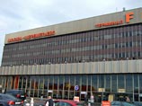 В аэропорту "Шереметьево" клетка с питомцем упала и сломалась. Животное сбежало, поймать его не удалось В аэропорту "Шереметьево" клетка с питомцем упала и сломалась. Животное сбежало, поймать его не удалось