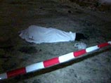 Под Самарой на дачном участке убита женщина и двое мужчин