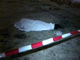 Под Самарой на дачном участке убита женщина и двое мужчин Под Самарой на дачном участке убита женщина и двое мужчин