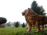 Зверская бойня в Огайо: полиция расстреляла тигров, львов и бабуина. Соседи решили, что владелец мстил им