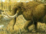 Первые американцы охотились на мамонтов еще 13,8 тыс. лет назад, считают ученые