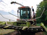 На Украине комбайнер насмерть смолотил бомжа, воровавшего кукурузу На Украине комбайнер насмерть смолотил бомжа, воровавшего кукурузу