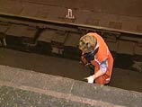 Мужчина погиб под поездом в метро Санкт-Петербурга