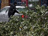 В США число жертв сильнейших снегопадов возросло до пяти человек