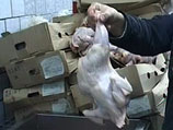 На Урале сотрудников супермаркета "Пятерочка" подозревают в избиении покупателя при попытке сфотографировать курицу