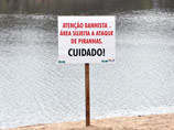 Стаи голодных пираний атаковали бразильские пляжи, отгрызая купальщикам пальцы