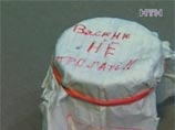 Украинского паука Васю, попавшего в пакет с семечками и покусавшего школьницу, заточили в стакан (ФОТО)