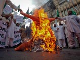Тысячи разъяренных пакистанцев вышли на улицы Карачи и других городов, требуя от США и НАТО немедленно убраться с их территорий. В ходе одной из таких акций был сожжено чучело Барака Обамы, протестующие также жгли американские флаги