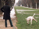 Пьяным белорусам запретят выгуливать собак, а трезвых заставят убирать за животными
