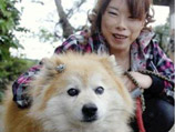 В Японии умерла самая старая собака в мире