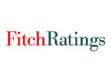 Рейтинговые агентства Fitch предупреждают о растущих политических рисках в России