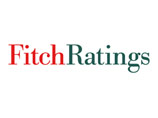 Рейтинговые агентства Fitch предупреждают о растущих политических рисках в России Рейтинговые агентства Fitch предупреждают о растущих политических рисках в России