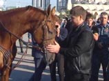 Сейчас он руководит выводом чеченской породы лошадей Сейчас он руководит выводом чеченской породы лошадей