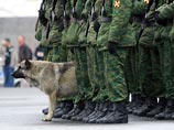 Очередная затея российских военных - возродить призыв служебных собак в армию - провалилась. Как считают эксперты, по вине военкоматов