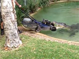 Австралийский крокодил Элвис отнял у работников измучившую его газонокосилку (ВИДЕО)
