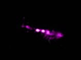 Телескопы NASA засняли в космосе "Око Саурона" (ФОТО)