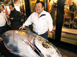 Гигантский тунец продан за рекордные 728 тысяч долларов на торгах в Токио