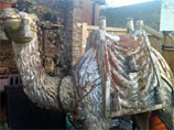 В Великобритании зачем-то украли стеклопластиковую статую верблюда в натуральную величину