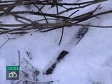 В Казани ревнивец устроил резню под окнами дома возлюбленной: убиты ее друзья, а сама избранница ранена В Казани ревнивец устроил резню под окнами дома возлюбленной: убиты ее друзья, а сама избранница ранена