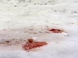 Смертельные раны получили 22-летняя подруга Екатерины Алия С. и ее ухажер. Булат З. скончался на месте, а Алия умерла уже в больничных покоях, не приходя в сознание Смертельные раны получили 22-летняя подруга Екатерины Алия С. и ее ухажер. Булат З. скончался на месте, а Алия умерла уже в больничных покоях, не приходя в сознание