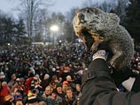 Главный американский предсказатель наступления весны - сурок Фил в местечке Панксатони (Пенсильвания) увидел свою тень, а значит, зима продлится еще шесть недель Главный американский предсказатель наступления весны - сурок Фил в местечке Панксатони (Пенсильвания) увидел свою тень, а значит, зима продлится еще шесть недель