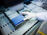 Разработана технология, которая позволит определять устойчивые к лечению раковые клетки Разработана технология, которая позволит определять устойчивые к лечению раковые клетки