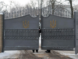 Красный Крест отказался от Тимошенко. За нее возьмутся врачи из Германии и Канады Красный Крест отказался от Тимошенко. За нее возьмутся врачи из Германии и Канады