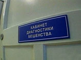 В Подмосковье 14 человек проверяют на бешенство после охоты на лося В Подмосковье 14 человек проверяют на бешенство после охоты на лося