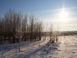 Аномальные холода в Центральной России постепенно отступают. К середине недели в регион придет потепление