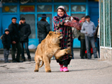 В таджикском зоопарке посетители довели ранимого бегемота до инфаркта и гибели