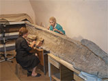 В мастерской по реставрации археологического дерева Новгородского музея-заповедника завершается восстановление древнего судна