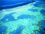 Крупнейшая в мире коралловая растительность на Большом барьерном рифе сократилась наполовину за последние 50 лет
