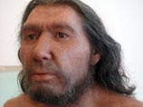 Люди не виноваты в гибели неандертальцев, доказали генетики, узнав истинную причину их вымирания