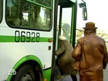 В Зеленограде в минувший понедельник рейсовый автобус протащил женщину, застрявшую между дверями транспортного средства. Женщина получила крайне тяжелые травмы