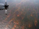В результате аварии погибли 11 человек, в воды Мексиканского залива вылилось около 5 миллионов баррелей сырой нефти