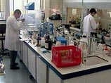 Ген либерализма и свободомыслия обнаружили специалисты из американского Северо-западного Университета штата Иллинойс Ген либерализма и свободомыслия обнаружили специалисты из американского Северо-западного Университета штата Иллинойс