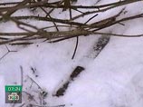 В Подмосковье зверски зарезали женщину в звании подполковника МВД: в полиции увидели "почерк" психбольных В Подмосковье зверски зарезали женщину в звании подполковника МВД: в полиции увидели "почерк" психбольных