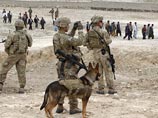 По данным источника в правительстве США, предполагаемый злоумышленник три раза направлялся в командировки для прохождения службы в составе воинского контингента США, размещенного в Ираке