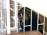 Задержана третья участница группы Pussy Riott, утроившей скандальный "панк-молебен" в Храме Христа Спасителя