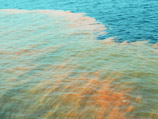 По сообщению бразильской прокуратуры, запрет связан с утечками нефти на глубоководном месторождении в 120 км от побережья штата Рио-де-Жанейро