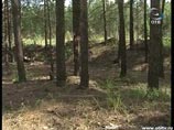 1 июля 2011 года банда напала на жителей поселка Сагра. Погиб один из нападавших 1 июля 2011 года банда напала на жителей поселка Сагра. Погиб один из нападавших