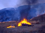 Пожары на территории заповедника "Кедровая падь", март 2011 года