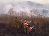 В МЧС объявили, что пожар в уникальном приморском заповеднике не опасен. Тушат добровольцы
