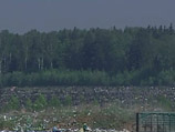 В Подмосковье разоблачена группа высокопоставленных сотрудников Министерства обороны, организовавших нелегальную свалку на месте четырех гектаров леса В Подмосковье разоблачена группа высокопоставленных сотрудников Министерства обороны, организовавших нелегальную свалку на месте четырех гектаров леса