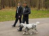 Пресса: от президента Медведева сбежал любимый кот Дорофей. Полиция говорит про "утку"