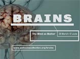 Сегодня в экспозиционном зале благотворительного фонда Wellcome Collection в Лондоне открылась необычная "анатомическая" выставка, целиком и полностью посвященная человеческому мозгу