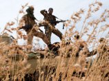 Туареги в одностороннем порядке прекращают военные действия на севере Мали Туареги в одностороннем порядке прекращают военные действия на севере Мали