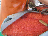 На Колыме суд обязал ФСБ заплатить рыбакам компенсацию за украденные у них две тонны икры